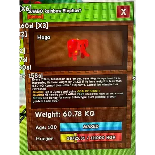 60KG RAINBOW HATCH ELEPHANT 