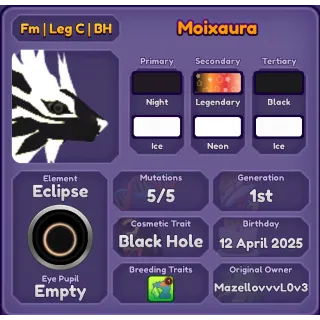 MOIXAURA | DRAGON ADVENTURES