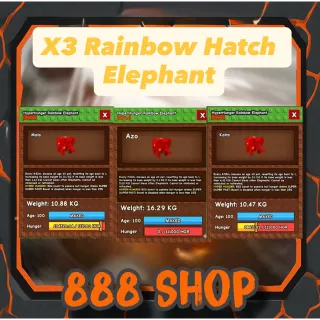 3x RBH ELEPHANT (10KG+)