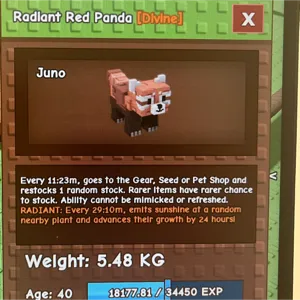 Red Panda GAG