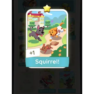 Squirrel! set 3 monopoly go