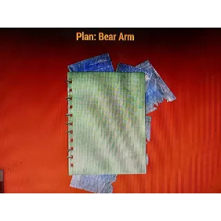 bear arm plan