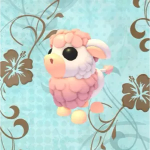 Angus Cow