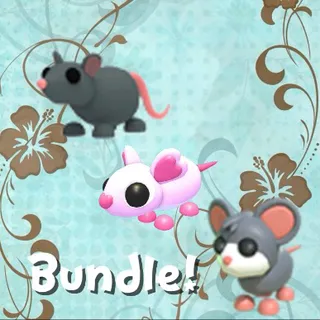Bundle!