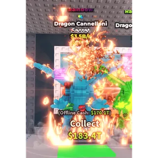 DRAGON CANNELLONI RAINBOW 3.5 B/S 