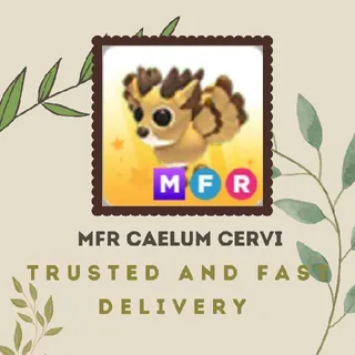 MFR CAELUM CERVI