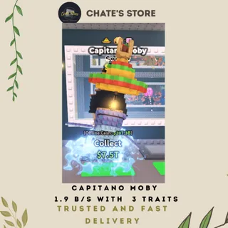 CAPITANO MOBY 1.9 B/S