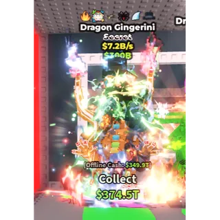 DRAGON GINGERINI 7.2 B/S