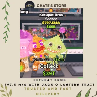 KETUPAT BROS 797.5 M/S