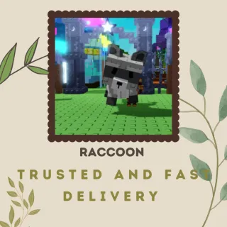 RACCOON