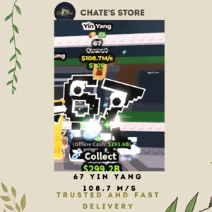 67 YIN YANG