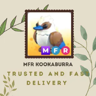 MFR KOOKABURRA