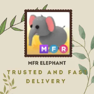 MFR ELEPHANT