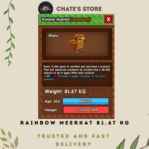 HUGE RAINBOW MEERKAT