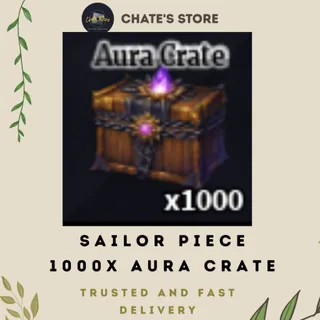 AURA CRATE 1000X
