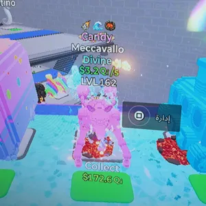 meccavallo candy 3traits