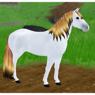 Connemara Pony IUH | Dusty Fade