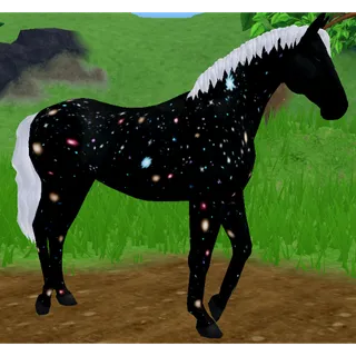 Deep Space Dutch Warmblood Horse | SIUC 