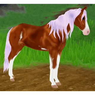 Marwari Horse IUH | Glacier Pink