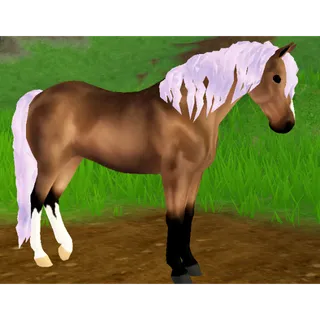 Morgan Horse IUH | Glacier Pink