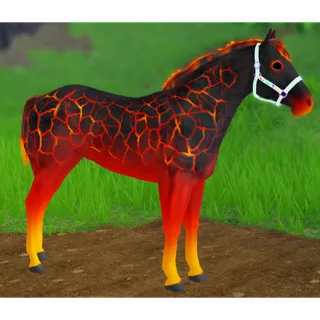 Appaloosa Horse | Cracked Lava SET