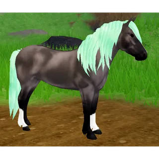 Icelandic Horse IUH | Glacier Green