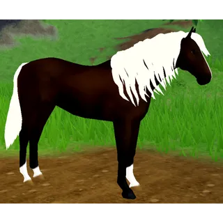 Thoroughbred Horse IUH | Moonstone