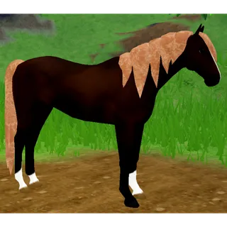 Thoroughbred Horse IUH | Limestone