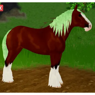 Bay Clydesdale Horse IUH | Icey Green |