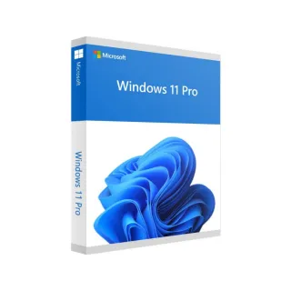 Win 11 Pro key