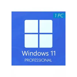 Windows 11 Professional - 1 PC