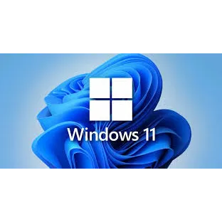 Win 11