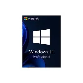 windows 11 pro license