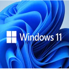 Win 11 Pro