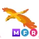 Pet | MFR Pheonix