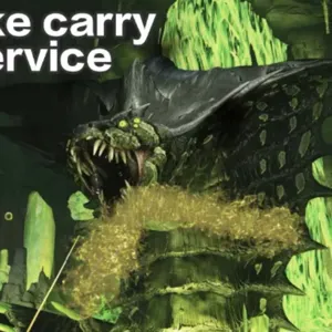 1 hour raid carrying