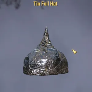 Tin Foil Hat 🎩