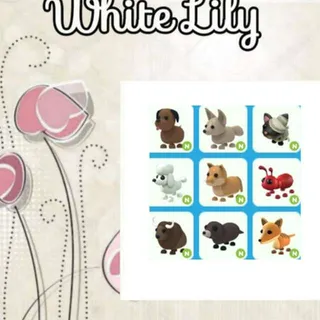 Neon Pets Mix X9