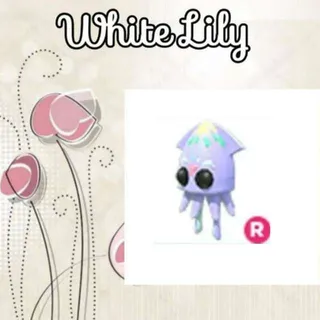 R Squid