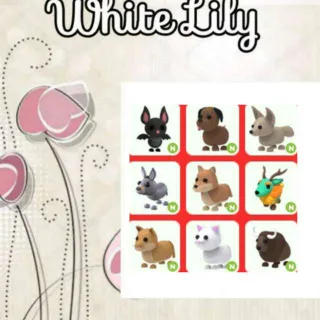 Neon Pets Mix X9
