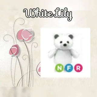 NFR Polar Bear