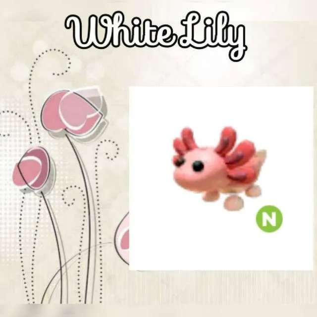 รายการภาพถ่าย