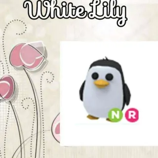 NR Penguin