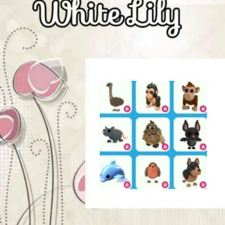 Ride Pets Mix X9
