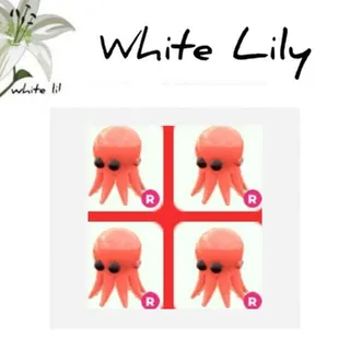 R Octopus X4