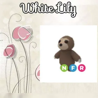 NFR Sloth