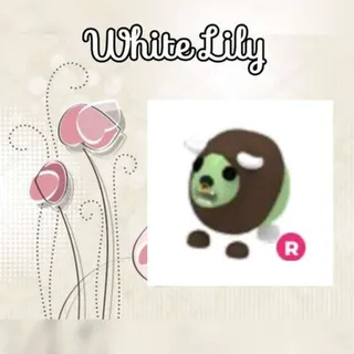 R Zombie Buffalo