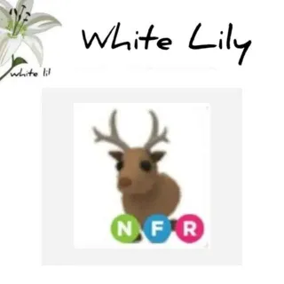 NFR Reindeer