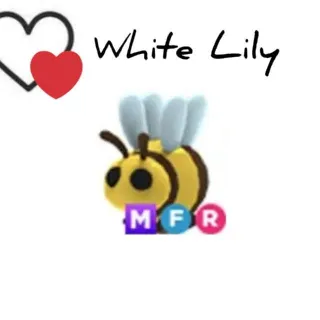 Pet | MFR Bee