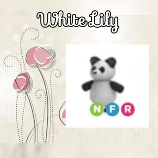 NFR Panda